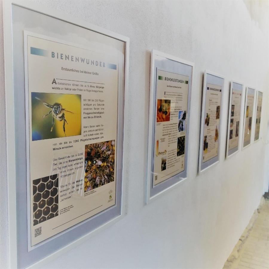 Turmblick-Gaestequartier-Coswig-Hier-Erwartet-Sie-Individueller-Service-Im-Herzen-Der-Altstadt Coswig  Exteriér fotografie